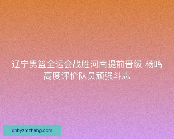 辽宁男篮全运会战胜河南提前晋级 杨鸣高度评价队员顽强斗志