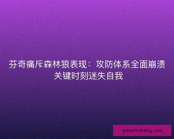 芬奇痛斥森林狼表现：攻防体系全面崩溃 关键时刻迷失自我